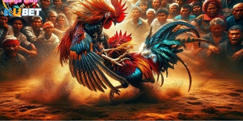 Cập nhật lịch thi đấu đá gà tại nhà cái