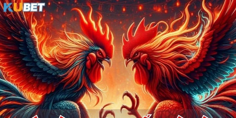 Chơi đá gà mạnh luôn thắng nhờ các thủ thuật hiệu quả